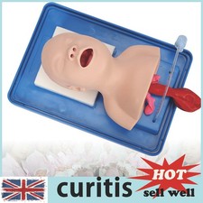 Airway Management Trainer