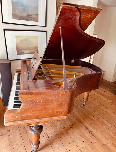Beautiful german baby grand - baby,