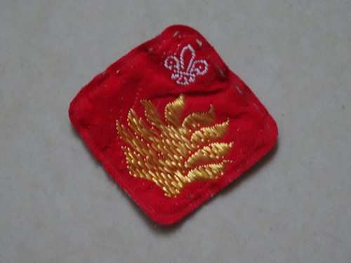 Scout proficiency badge - proficiency,