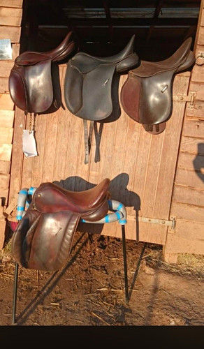 Wintec dressage essentially - wintec, dressage-