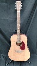 MARTIN DM Acoustic Guitar
