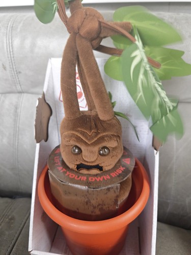 Harry potter mandrake - harry,