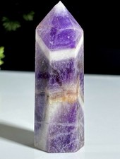 Beautiful Vibrant Purple