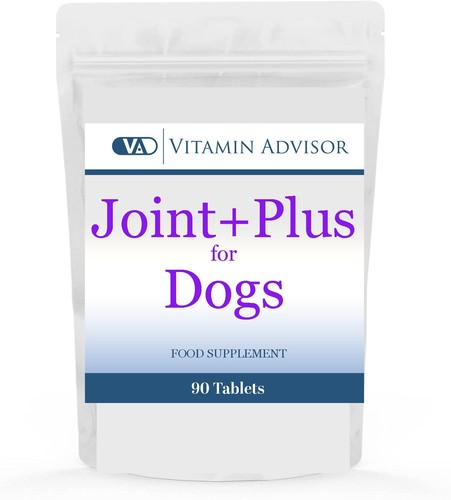 Senior dog joint supplement - dog,