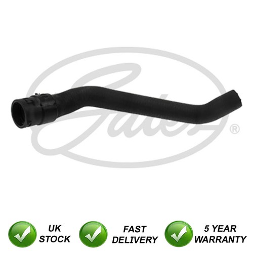 Hose - (engine, heat