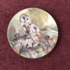 Royal Doulton British Owls Fine Bone China Plate