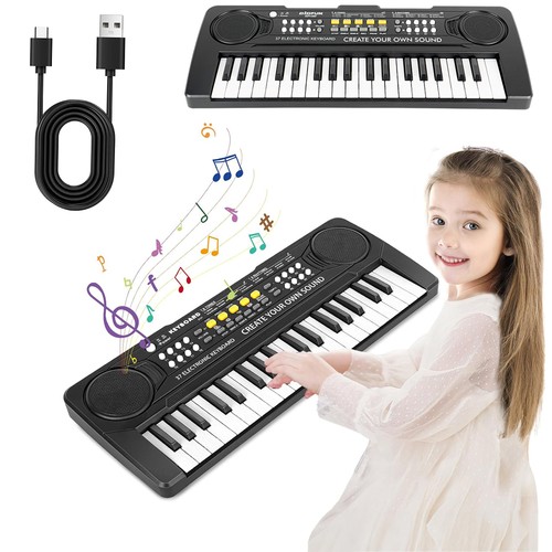 Electronic piano keyboard - electronic,