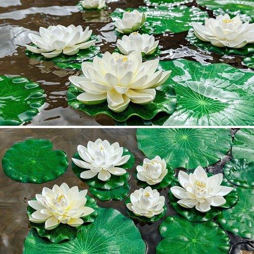 For garden floating lotus - floating,