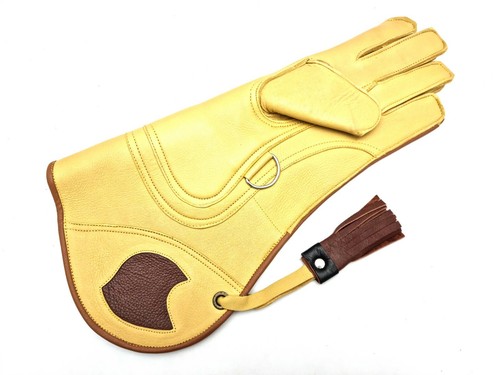 Falconry glove bird handling - falconry,