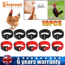 10X Chicken Collar Anti-Hook