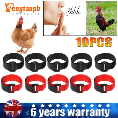 10pc chicken collar anti hook - chicken, anti-hook