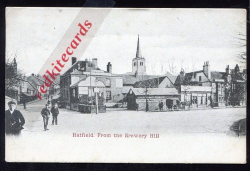 Hatfield from brewery hill - hatfield,