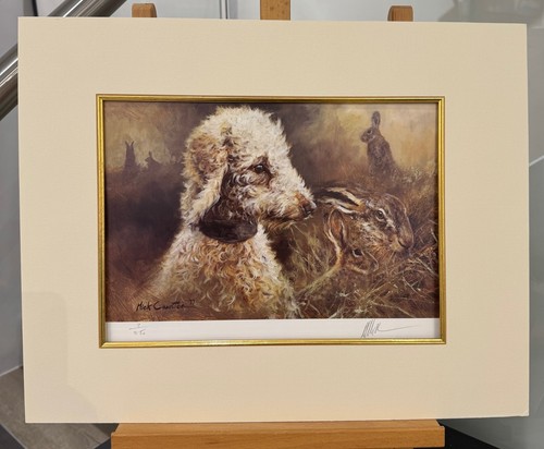 Mick cawston bedlington - cawston,