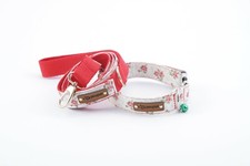 Dog Collar and leash Durable