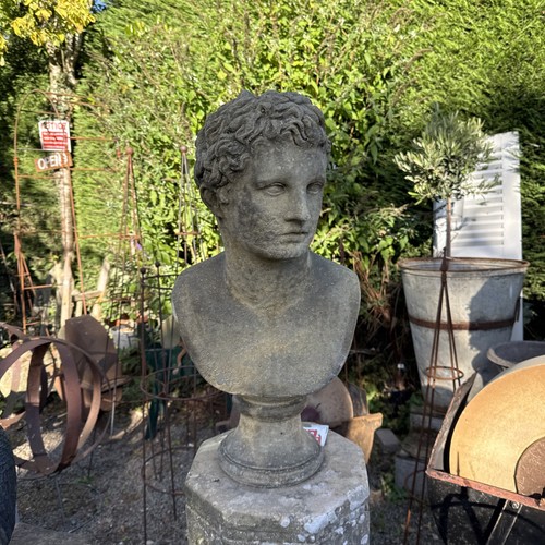 Adonis garden statue - garden,