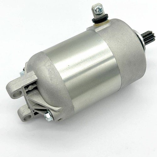 Starter motor magneti marelli - magneti,