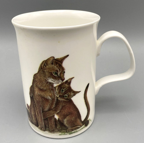 Roy kirkham bone - roy, cat