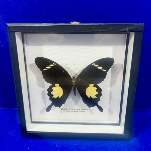Vintage framed black - vintage, &