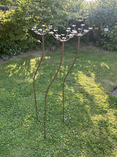 Set 3 Wildflower Cow Parsley