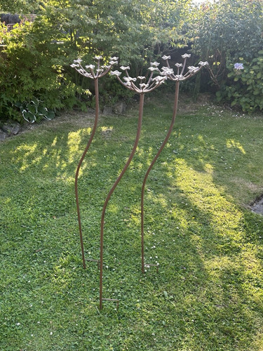 Set wildflower cow parsley - 3,
