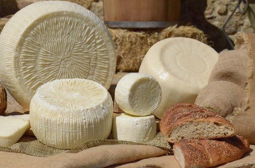 Pecorino cheese sicilian - cheese,