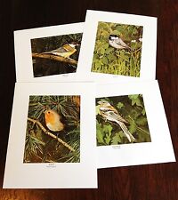 Set of 4 Singed Limited Edition Lithograph Prints (birds)