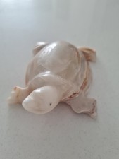 Onyx Style Turtle/Tortoise