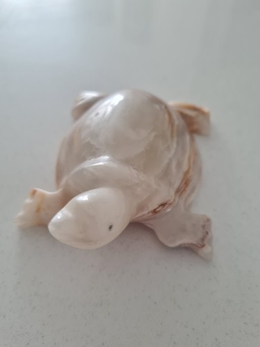 Onyx style turtle tortoise - onyx, turtle/tortoise