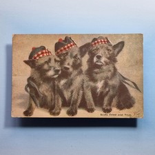 Lilian Cheviot Postcard C1917 Scottish Terrier Puppies Scots Tried And True
