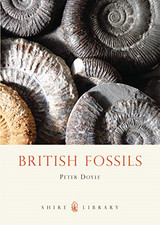 British fossils shire - british,
