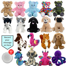 RECORDABLE TEDDY BEAR with 60