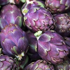 Vegetable - ARTICHOKE ITALIAN