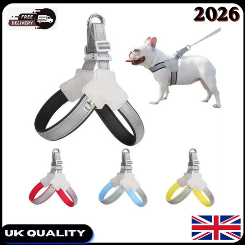 Reflective pet dog - reflective, harness