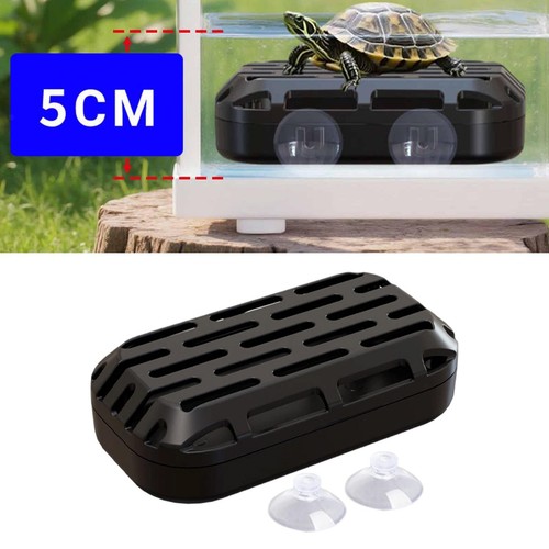 Turtle tank poop - turtle,