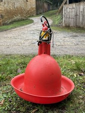 Pheasant/Turkey/poultry