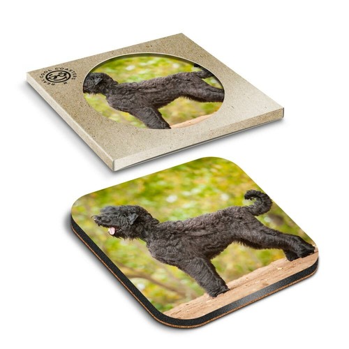 Boxed square coasters - 1,
