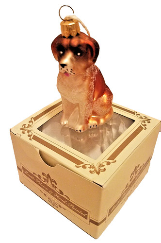 Dog bernard hound mouth - st.bernard,