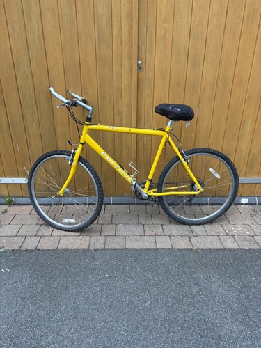 Classic 90s raleigh - raleigh, pioneer