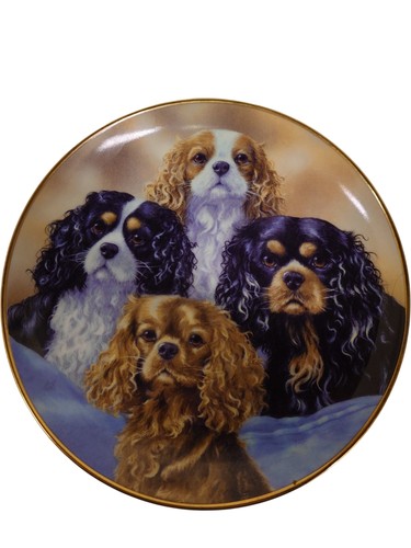 Four kings cavalier king - kings,