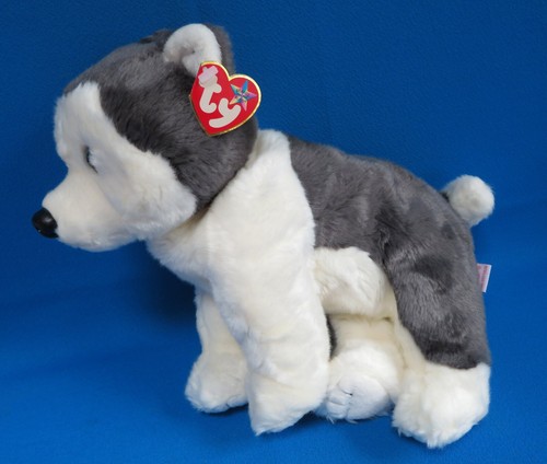 Large nanook malamute husky - malamute,