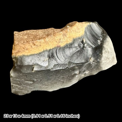 Rare neolithic scraper - neolithic,