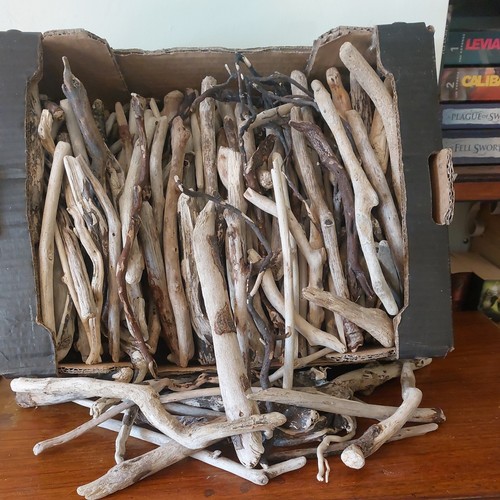 Driftwood pieces arts - ,