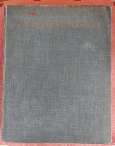 Morning flight book - morning, flight: