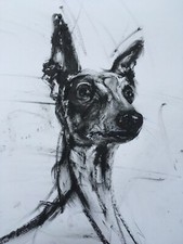 Full Alert! Original signed Ink Drawing of a Whippet Greyhound Lurcher A3
