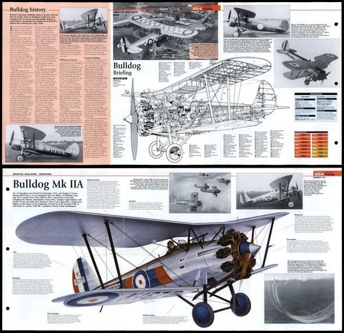 Bristol bulldog military - bristol,