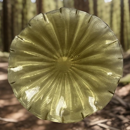 Art deco green glass dish - ,