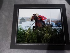 horse racing picture 
