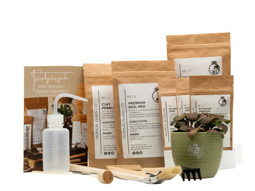 Closed terrarium starter kit - terrarium,