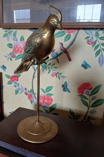 Brass bird cockatoo stand - cockatoo,