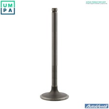 4x EXHAUST VALVE V946 FOR